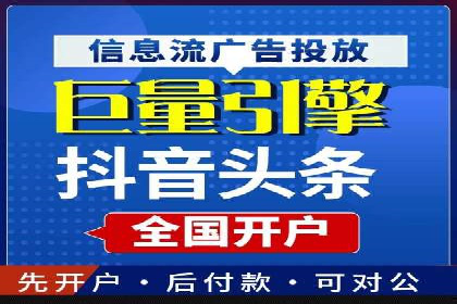 不同平台的SEM广告投放比较及成功案例分析